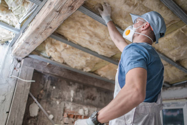 Professional Insulation Contractor in Clarence Center, NY