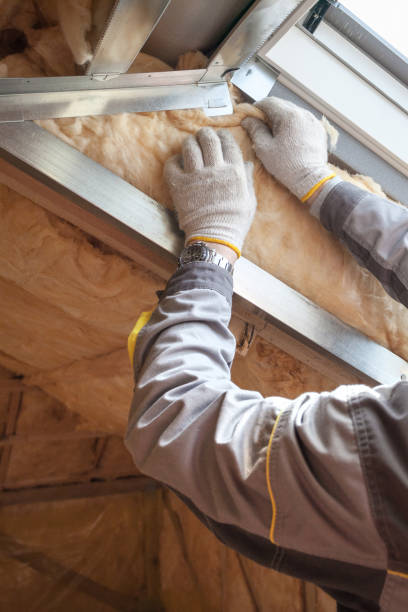 Best Insulation Removal  in Clarence Center, NY