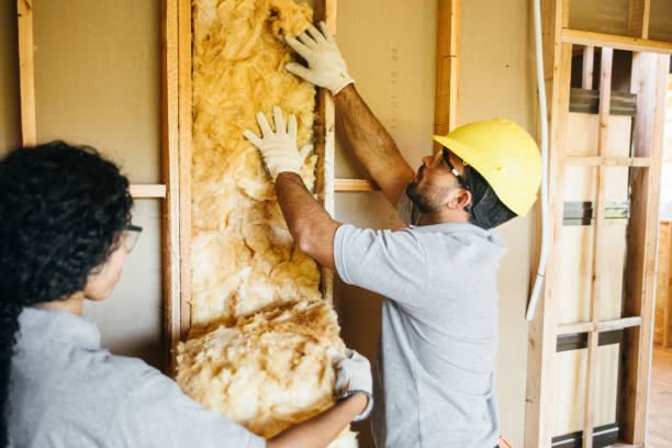 Best Insulation Removal Services  in Clarence Center, NY