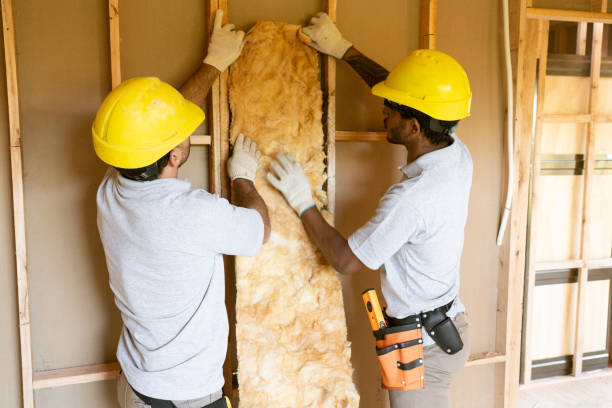 Best Cellulose Insulation  in Clarence Center, NY