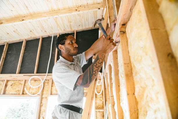 Best Home Insulation Services  in Clarence Center, NY