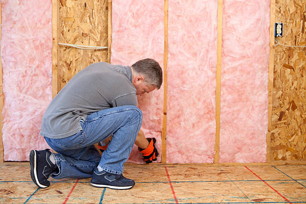 Best Commercial Insulation Contractor  in Clarence Center, NY